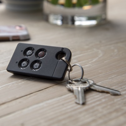 Detroit security key fob